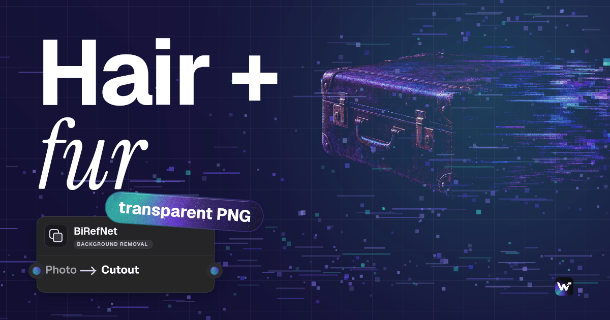 How to Remove Backgrounds with BiRefNet API