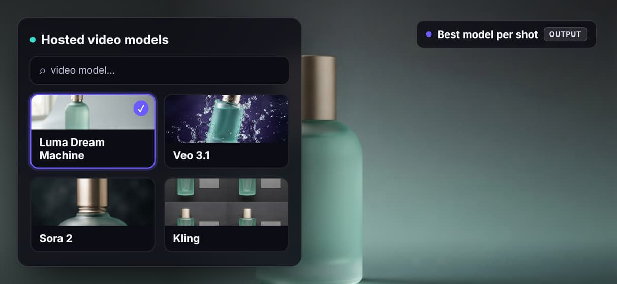 One endpoint, many video models