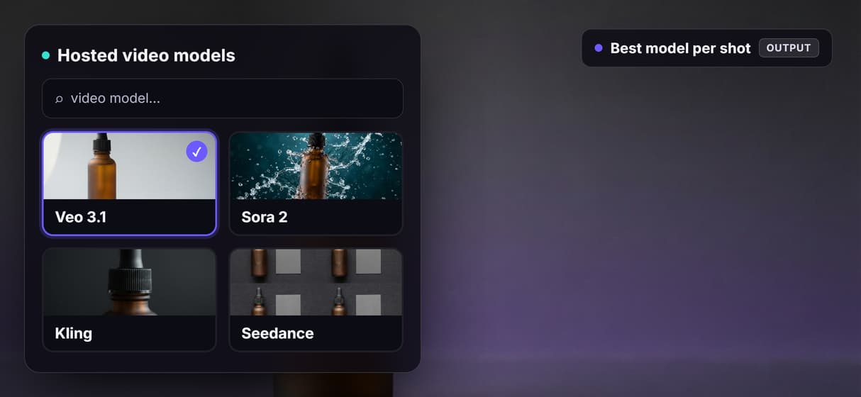 One endpoint, many video models